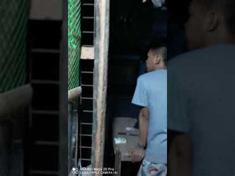 Iniyot Sa Likod Ng Bahay Si Neneng Porn Videos & Sex Movies.